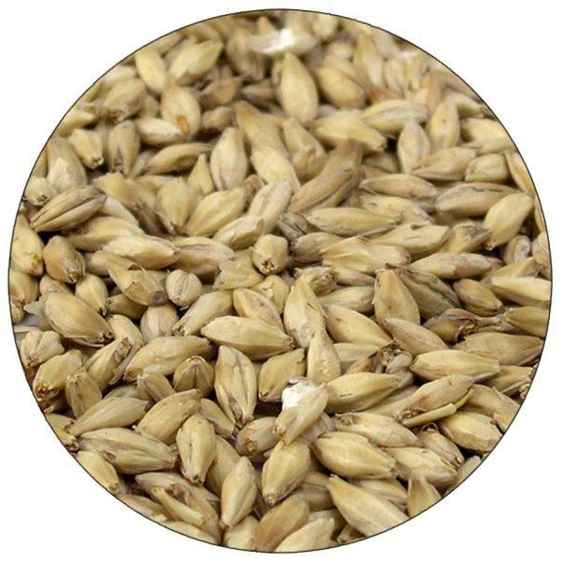 Briess Organic 2-Row Malt – lb