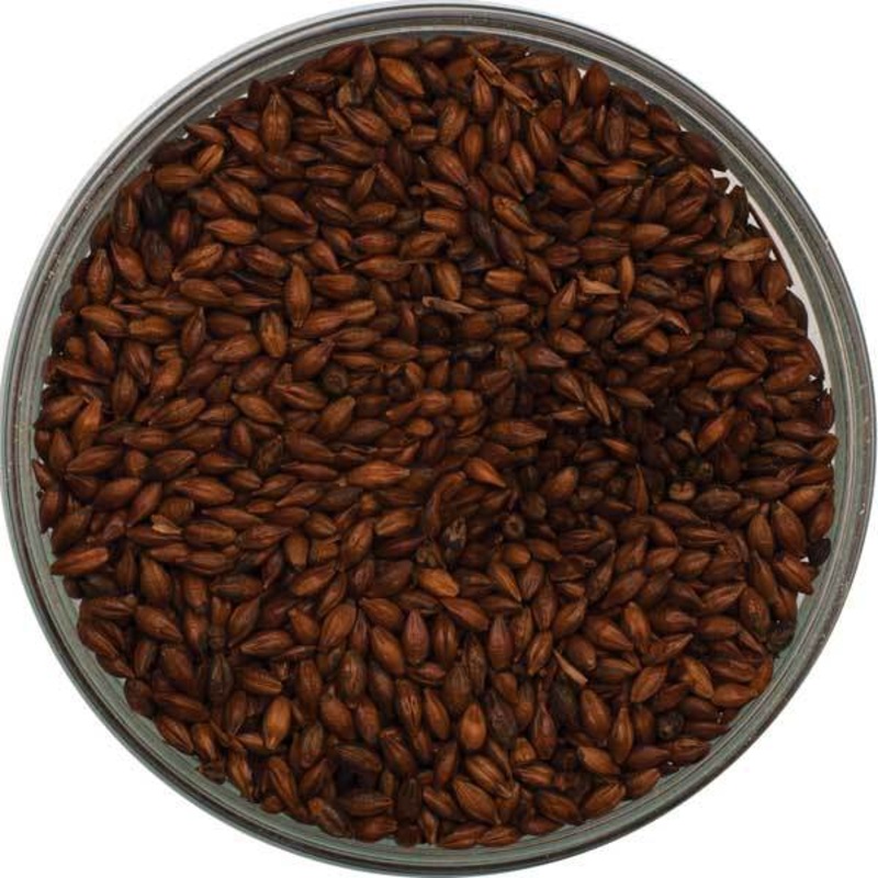 Briess Organic Roast Barley Malt – lb