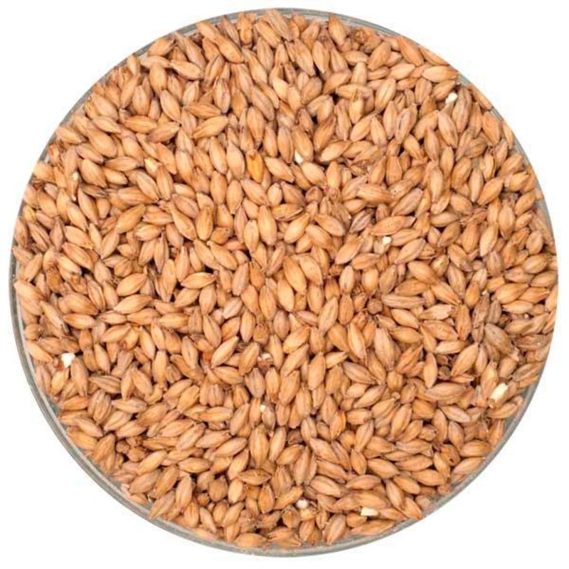 Malting Company of Ireland Stout Malt – lb