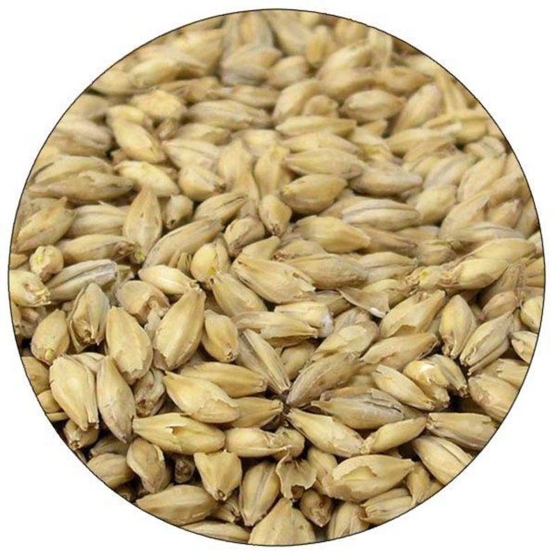 Rahr Pale Ale Malt – lb|One pound|Ten pounds|Yes|NO