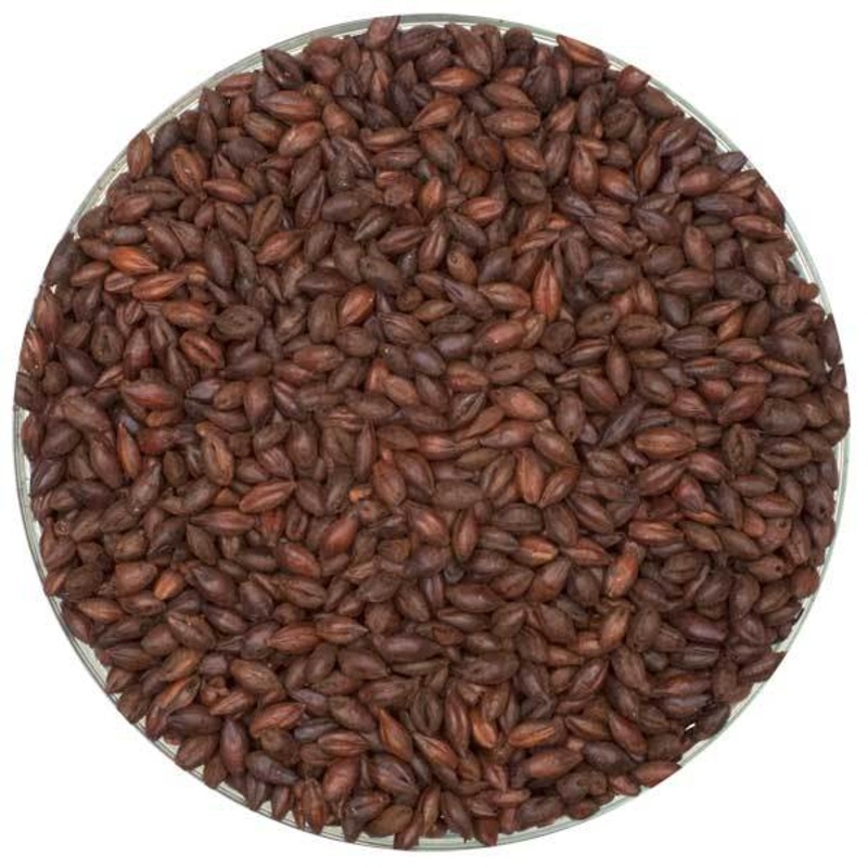 Simpsons English Chocolate Malt – lb