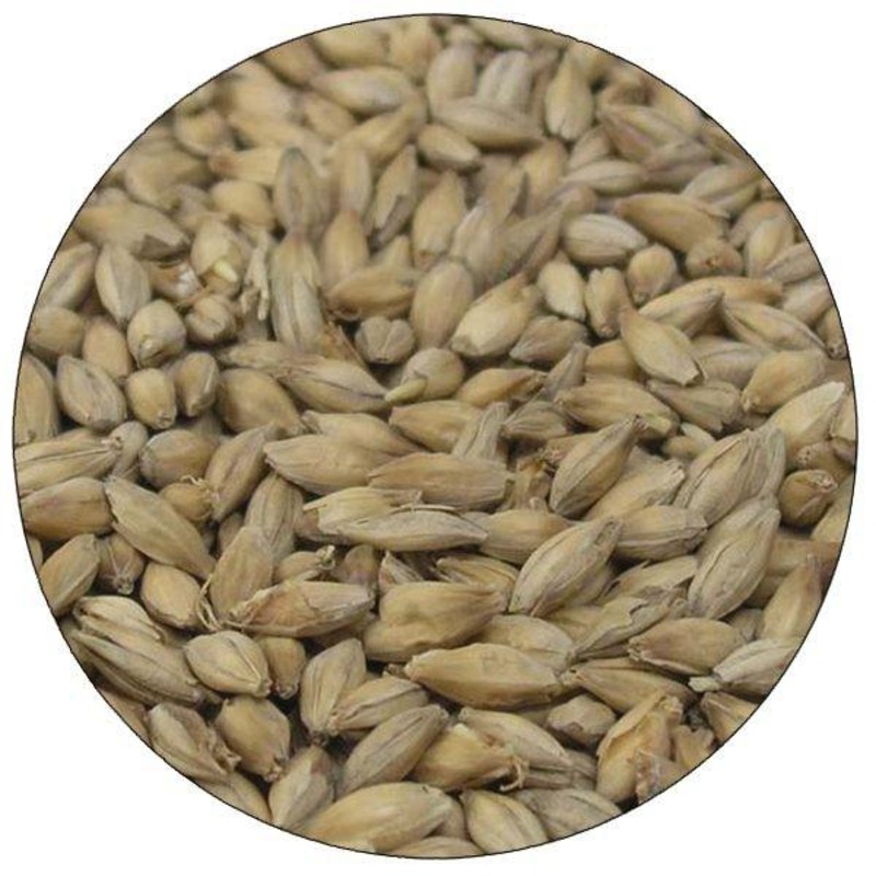 Warminster English Floor Malted Maris Otter Malt – lb
