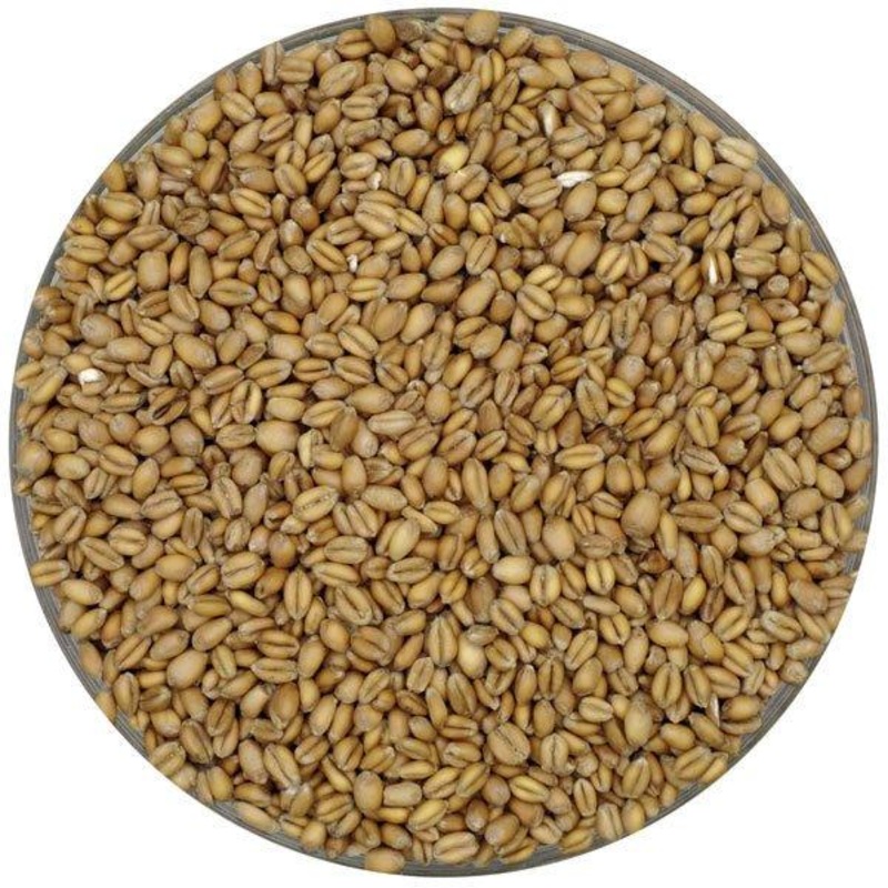 Weyermann German Floor Malted Bohemian Pale Wheat – lb