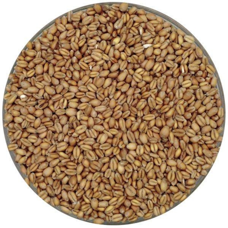 Weyermann German Oak-Smoked Pale Wheat Malt – lb